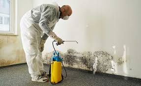 Reliable Marshallton, PA Mold Remediation Solutions